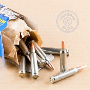 A photograph detailing the 223 Remington ammo with FMJ bullets made by Silver Bear.
