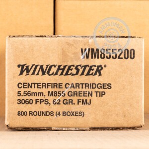 A photograph detailing the 5.56x45mm ammo with Penetrator bullets made by Winchester.