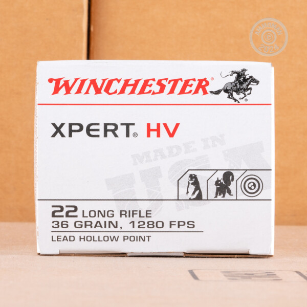 22 LR Ammo at AmmoMan.com - Winchester Xpert 36 Grain LHP - 5000 Rounds