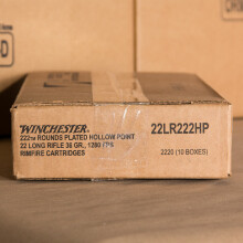 Image of bulk .22 Long Rifle ammo by Winchester that's ideal for hunting varmint sized game, training at the range.