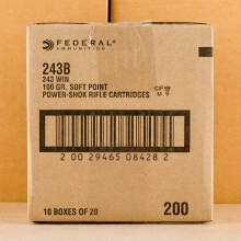 Image of Federal 243 Winchester rifle ammunition.