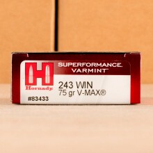 A photograph of 20 rounds of 75 grain 243 Winchester ammo with a V-MAX bullet for sale.