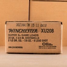 Photograph of Winchester 20 Gauge #8 shot for sale at AmmoMan.com