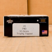 Image of 243 Winchester rifle ammunition at AmmoMan.com.