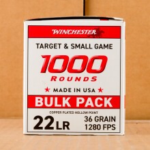  rounds of .22 Long Rifle ammo with copper plated hollow point bullets made by Winchester.