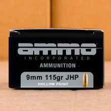 Image of Ammo Incorporated 9mm Luger pistol ammunition.