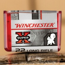 Photograph of .22 Long Rifle ammo with Power-Point (PP) ideal for hunting varmint sized game, precision shooting, training at the range.