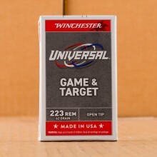 A photograph detailing the 223 Remington ammo with Open Tip bullets made by Winchester.