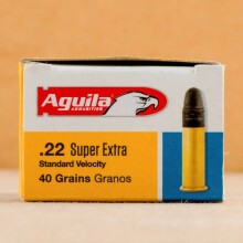 Photograph of .22 Long Rifle ammo with Lead Round Nose (LRN) ideal for hunting varmint sized game, training at the range.