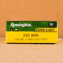 Image of 243 Winchester ammo by Remington that's ideal for whitetail hunting.