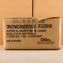 Photograph of Winchester 20 Gauge #8 shot for sale at AmmoMan.com