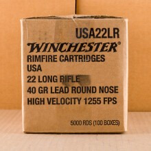  rounds of .22 Long Rifle ammo with Lead Round Nose (LRN) bullets made by Winchester.